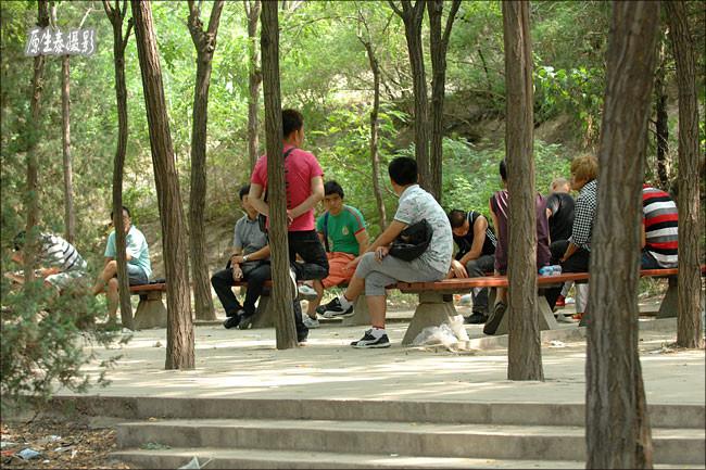 北京牡丹园:中国最著名的同性恋公园