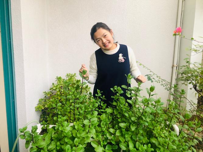 其它 不一样的年,百膳课程增色彩 写美篇 第一道菜:芒果西米露 主要