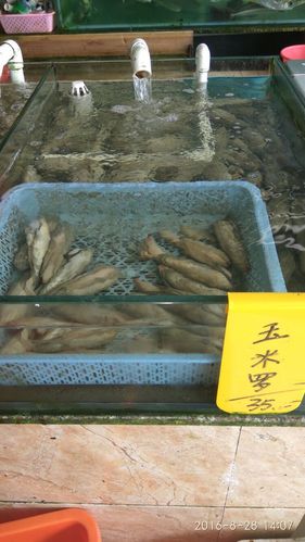 这里的海产品应有尽有,取名也特别有意思,什么玉米罗,有羔虾婆,瞧