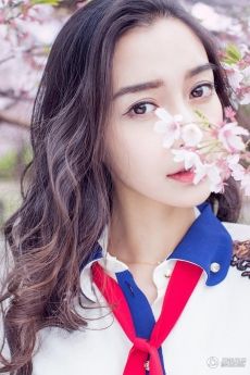 angelababy樱花写真图片 人比花娇
