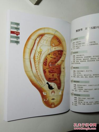 三通养生宝典 :人体经络穴位使用图册,反射区使用图册