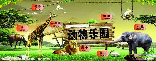 动物世界动物乐园图片