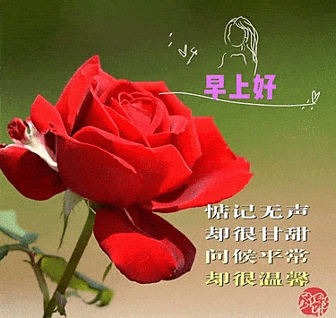 7月25日最漂亮早上好动态表情图片大全,早晨好动图美图大全