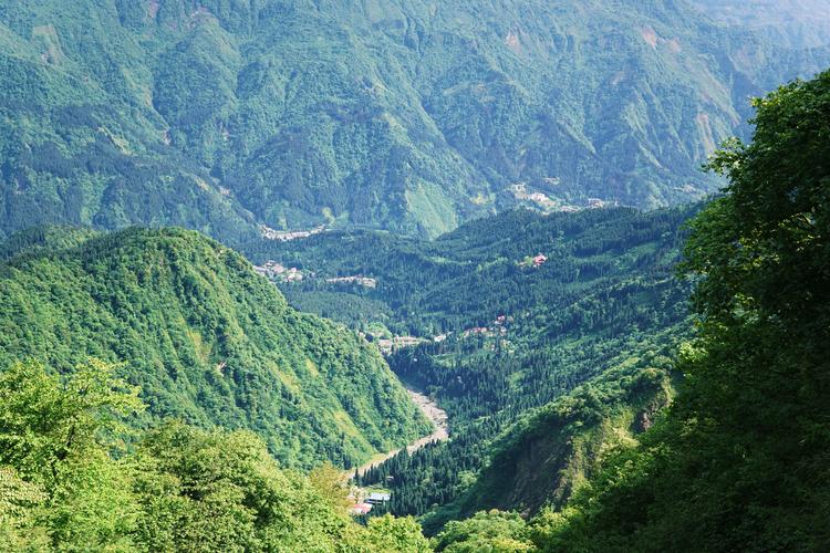 森山