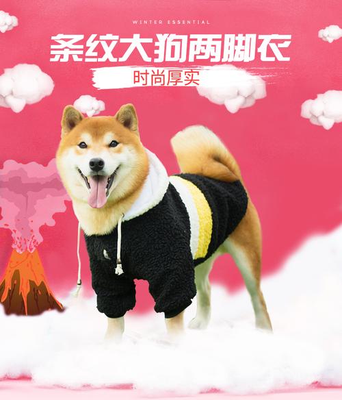 宠物狗狗衣服冬装大狗保暖金毛柴犬拉布拉多大型犬冬天服装变身装