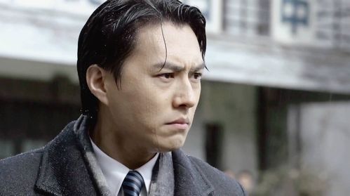 靳东 伪装者大哥明楼 靳哥哥