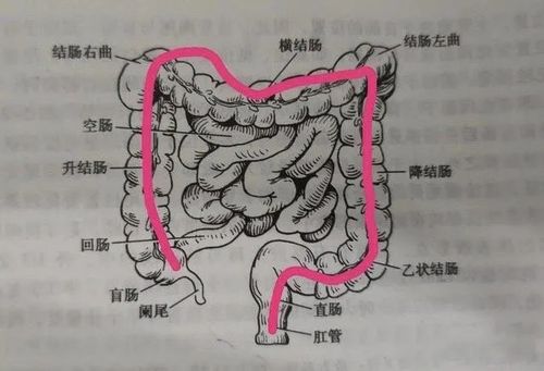 印小天曝父亲直肠癌晚期,已无任何办法,医生:警惕这些症状