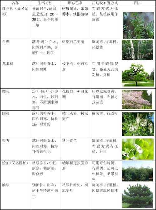 文档大全 所有分类 表格/模板 调查/报告 北京植物园调研报告 一,植物