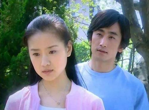 董洁,车仁表主演的《天若有情》主要讲了一个什么故事