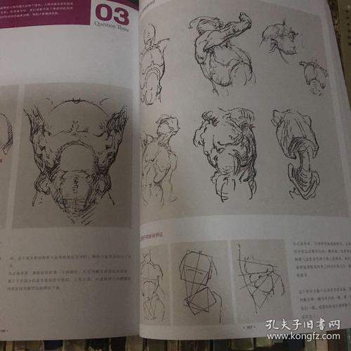 速写:解读伯里曼