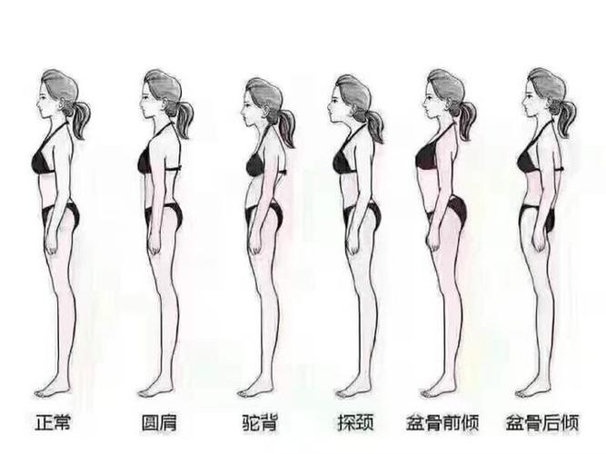 体现在身体比例上,多数正常成长的成年人能做出的动作在幼龄躯体上