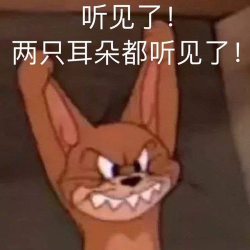 求一个杰瑞拽着耳朵的那个我两只耳朵都听到了的表情包