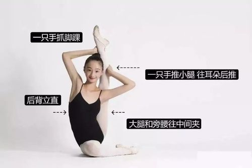 写美篇 四级,练习内容 压后胯,耗横叉加砖,耗竖叉加砖,压旁腿,站立搬