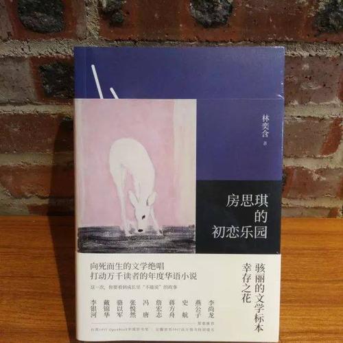 《房思琪的初恋乐园》