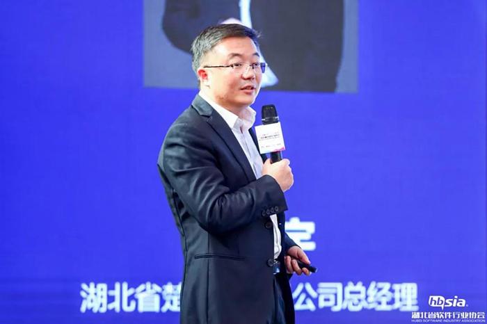 张翔宇  湖北省楚天云有限公司总经理
