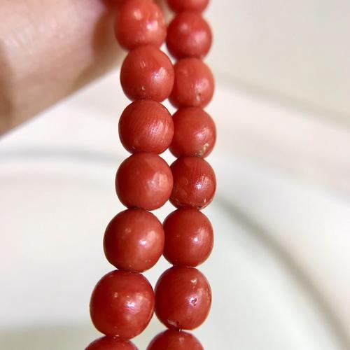 真假红珊瑚,您分得清吗?