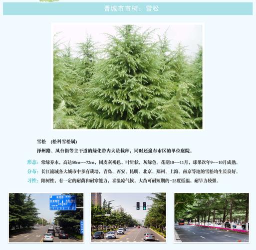 晋城市市树和市花