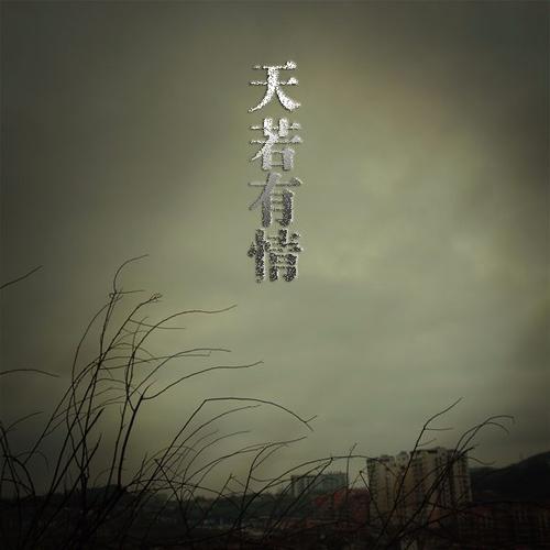 天若有情讲的是什么?