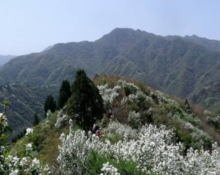 甘肃子午岭国家森林公园