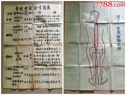 老中医留传下来的常用骨度分寸简表双面