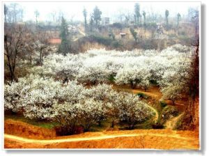 洛阳樱桃沟风景区