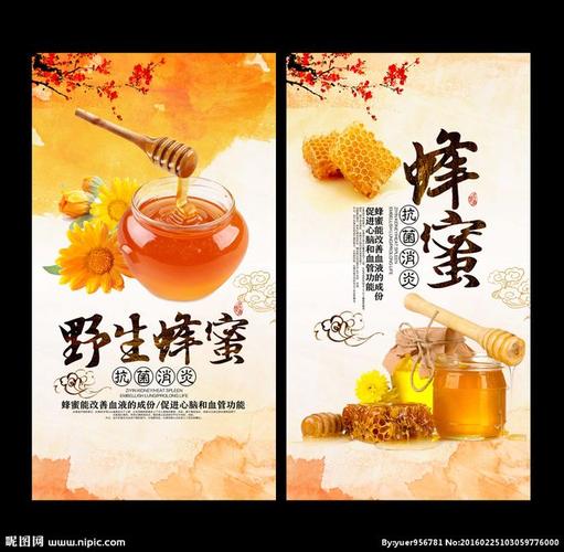 野生蜂蜜 天然蜂蜜 蜂蜜 蜂王浆 蜂蜜海报 蜂蜜广告 土蜂蜜 蜂蜜礼品