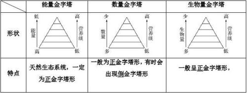 三种生态金字塔的比较