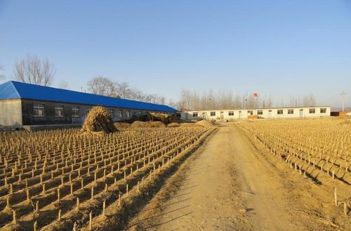 双塔镇(shuangta zhen)位于鸡泽县西南部,镇政府驻东双塔村.