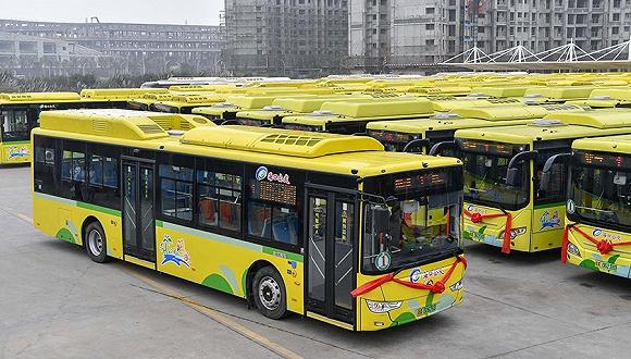 新能源公交车越来越多,背后是这些车企满满的"求生欲"