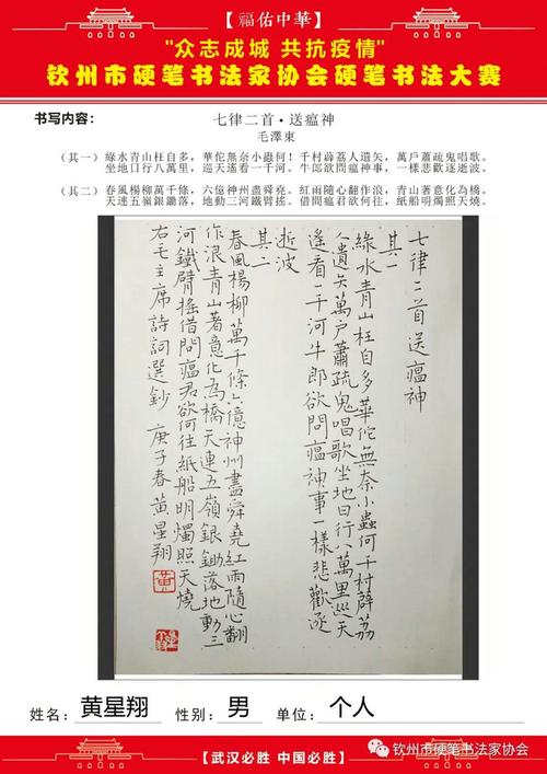 铁笔书情怀艺心壮君行钦州市抗疫主题硬笔书法网络作品展