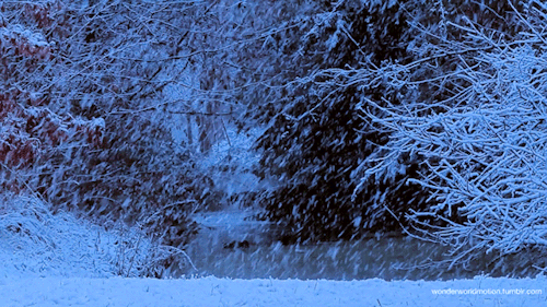 【藏头七绝(新)】大雪——咏二十四节气之二十一·作者:李保才