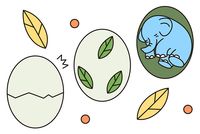 创意画蛋宠系列兔子简笔画