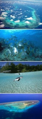 西沙群岛的风光美景堪比马尔代夫,是中国南.