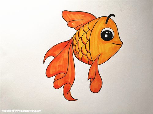 小金鱼怎么画一步一步教
