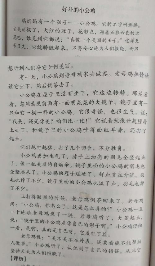 好斗的小公鸡