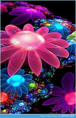 清风网络 手机软件 手机应用 → 4d花儿壁纸app安卓版 v1.