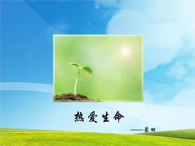 热爱生命实用.ppt