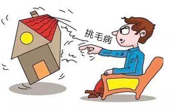 挑毛病