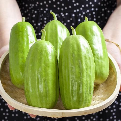 河北八棱菜瓜脆瓜新鲜无糖水果蔬菜整箱5斤现摘梢瓜烧瓜整箱包邮