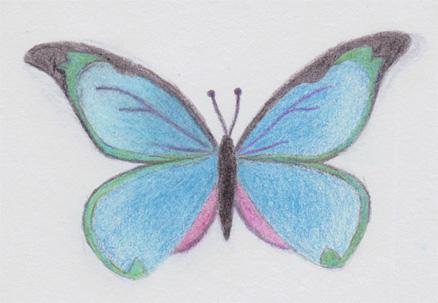 【教学教研师训】民族小学摘抄制课文化教学