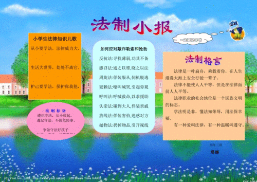 小学生法律知识手抄报.doc