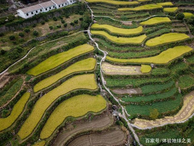 覆卮山千年梯田东澄古村