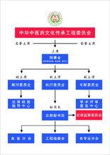中华中医药文化传承工程委员会