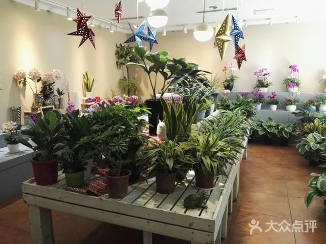 北京市花木公司社区园艺体验中心图片 - 第5张