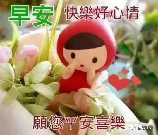 下午好每日祝福
