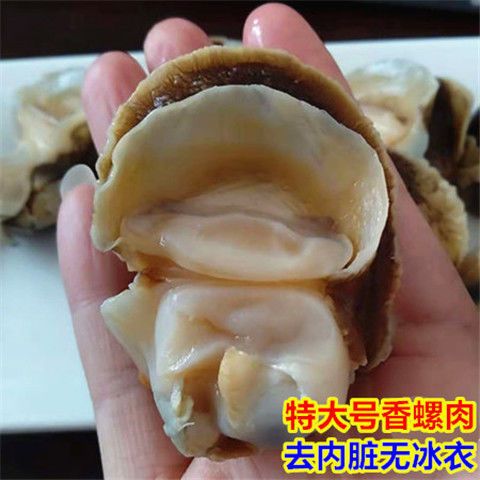 香螺肉500g  新鲜海鲜海螺肉玉螺冷冻海螺肉 内脏已去除 刺身香螺