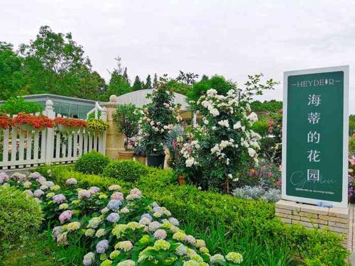 海蒂的花园(春天店)-"海妈家的花园图书馆太完美了,去