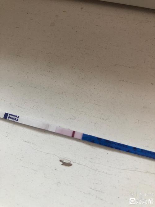 就有意念灰,今天明显一点,但是换另外一个试纸就没有,哎,是不是没怀孕