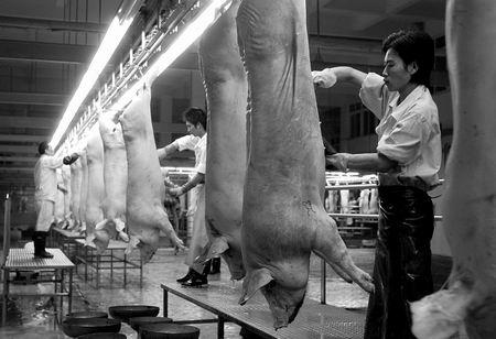 生猪屠宰点现场一角.