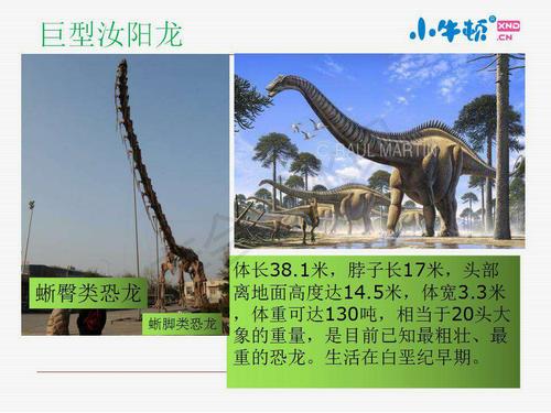 巨型汝阳龙也是这类.